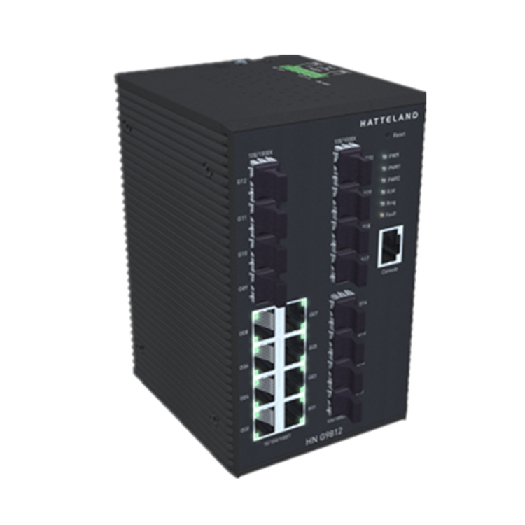 hatteland网络交换机（20端口）hn g9812
